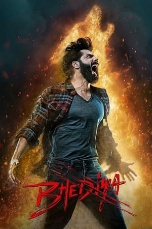 Bhediya 2022 Hindi Movie – 480p